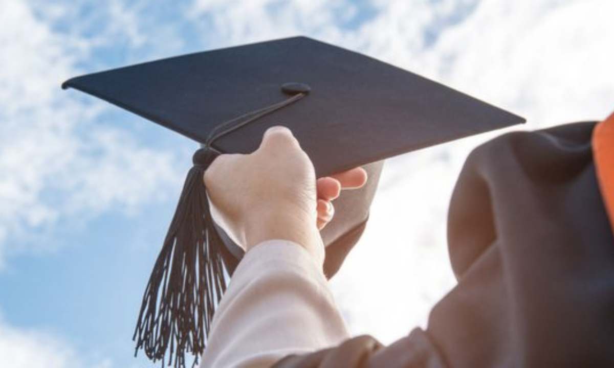 Fresh Graduate