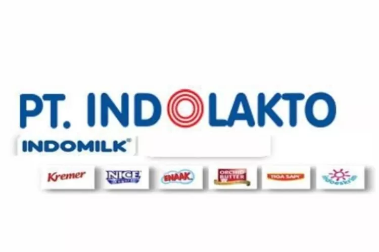 Indolakto Serang