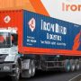 Iron Bird