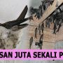 CV. Cemara Wangi Indonesia