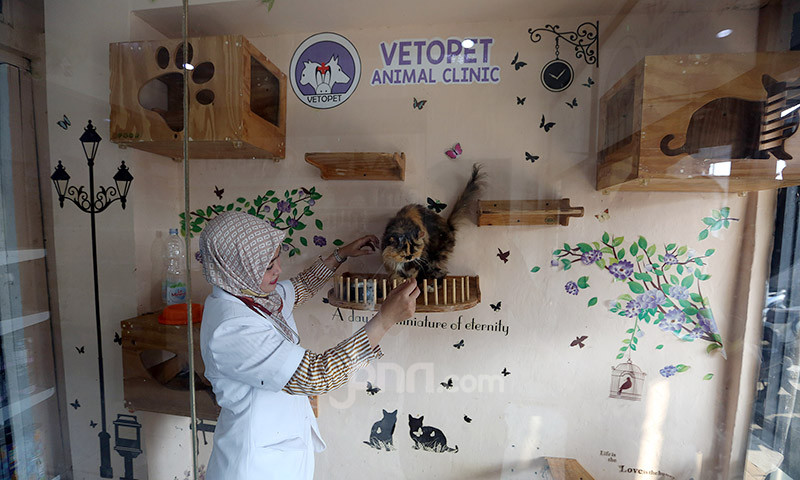 Vetopet Animal CLinic
