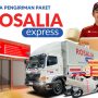 Rosalia Express